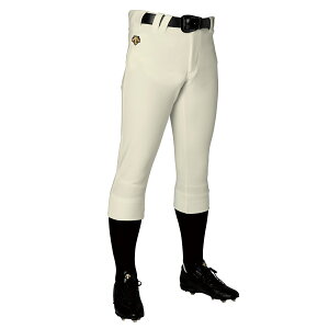 fTg DESCENTE DB5SHP19M M[tBbgpc AC{[