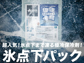 ロゴス LOGOS 倍速凍結・氷点下パックL キャンプ キャンピング キャンプ用品 アウトドア 防災 81660641