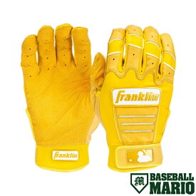 フランクリン Franklin CFX PRO HI-LITE BATTING GLOVES ハイライト バッティンググラブ 両手用 イエロー 一般 野球 バッティング手袋 バッティンググローブ バッテ 練習 試合 20895