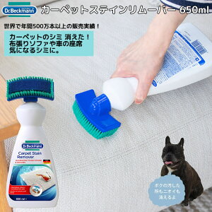 hN^[xbN} Dr. Beckmann Carpet Stein Remover J[ybgXeC[o[ 650ml AEghA \t@[ ybg  L  N[i[ V~ L hCc DP030004