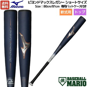 レガシー バット ケース付きの人気商品・通販・価格比較 - 価格.com