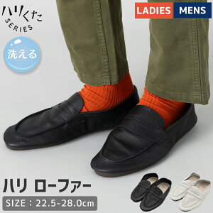 yyVLOlIzn ͂肭 n [t@[ Y fB[X jZbNX ubN zCg { vC rWlX JWA V[Y C v EHbVuU[ 
