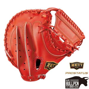 [bg ZETT pOuܕt vXeC^X PROSTATUS dpLb`[~bg ߎp  DIW F 싅 d O[u Ou x[X{[}I BPROCM420-5800