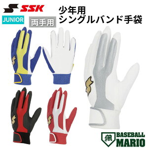 GXGXPC SSK Np VOoh(p) WjAp 2025NH~ yx[X{[}Iz 싅 obeBO  BG5019WF