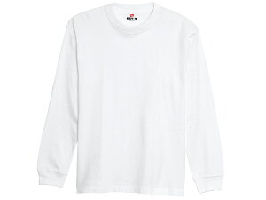 wCY Hanes r[tB[OX[uTVc JWA Vc  H5186-010