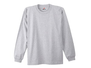 wCY Hanes r[tB[OX[uTVc JWA Vc  H5186-060