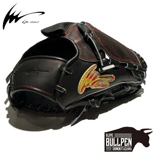 ACs[ZNg ip select ipZNg pOuܕt ADVANCE COLLECTION dpOu p 30.0cm  AhoXRNV ubN 싅 d O[u sb`[ Z싅 w Љl