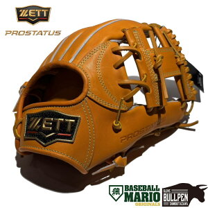 [bg ZETT pOuܕt PROSTATUS }IIWi dpOu p 156^  vXeC^X Z싅Ή  싅 d O[u w Љl x[X{[}I MOGKZ25-156