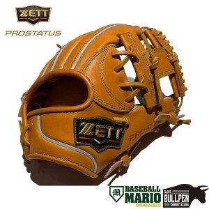 [bg ZETT pOuܕt PROSTATUS }IIWi dpOu p 296^ {f  vXeC^X Z싅Ή IW 싅 d O[u { }I x[X{