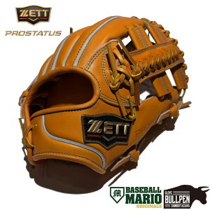 [bg ZETT pOuܕt PROSTATUS }IIWi dpOu p 296^ {f 5mm  vXeC^X NXEFu Z싅Ή  싅 d O[u { }