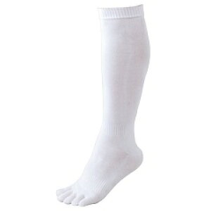 y ubNtCf[Gg[Ń|Cg10{ z [bg@ZETT@3g 5{w \bNX@싅@\bNX@BK035O-1100