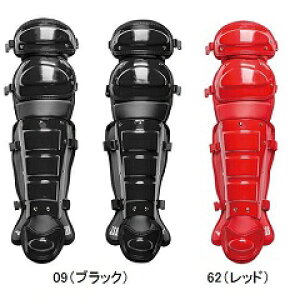 ~Ym MIZUNO p K[X 싅  1DJLR101