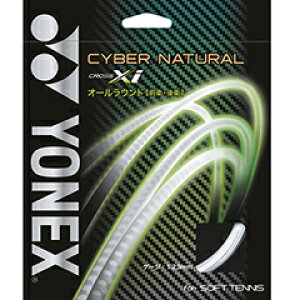 ���l�b�N�X�@YONEX�@�T�C�o�[�i�`������ XI (�}���`) 1.23�@�\�t�g�e�j�X�@�K�b�g�@CSG650XI