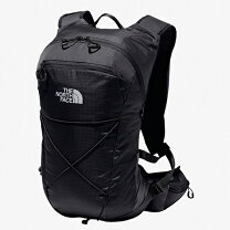 楽天市場】ザ・ノースフェイス リュック the north face iron peak 
