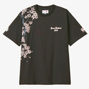 J^x[ CANTERBURY WpV[gX[uXyNe[^[eB[ Or[ TVc  jZbNX RA34771-19