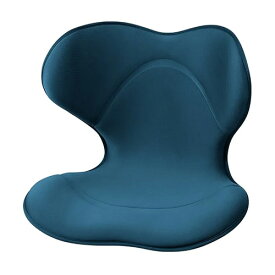 【取り寄せ品】エムティージー MTG スタイルスマート Style SMART ネイビー 健康 姿勢ケア YS-AK20A