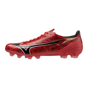 ~Ym MIZUNO ~YmAt@II PRO TbJ[ XpCN P1GA2564-60