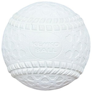 iKZPR[ KENKO {[M (1) ʗpEwp 싅 16JBR11100-1P