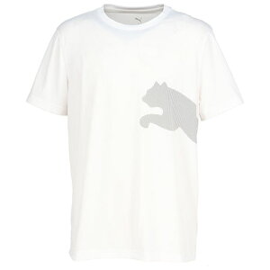 v[} PUMA TAD rbO S  TVc Y 527364-02