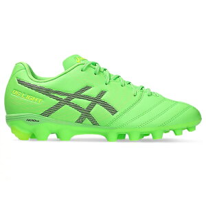 AVbNX asics DS LIGHT JR GS TbJ[ WjA/LbY XpCN 1104A054-300