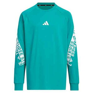 AfB_X adidas [fBOpbN [YtBbg VOW[W[ TVc WjA KA3786