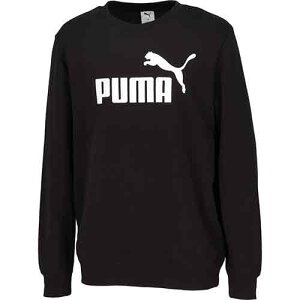 v[} PUMA ESS NO.1 S N[XEFbg  Y 687579-01