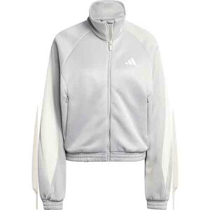 AfB_X adidas WPbg  EBY KA6251