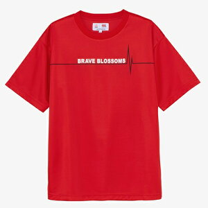 J^x[ CANTERBURY Wp V[gX[uv[geB TVc Or[  jZbNX RA325637S-65