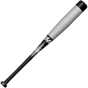 ~Ym MIZUNO wprh}bNXEV2N ~h(FRP^74cm^510g) 싅 obg 1CJBY18774-09