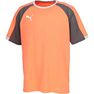 プーマ PUMA INDIVIDUALLIGA 半袖 シャツ サッカー プラクティス/トレーニングウェア 659843-11