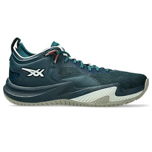 �A�V�b�N�X asics NOVA SURGE LOW2 �m���@�T�[�W���[2 �o�X�P�b�g�{�[���V���[�Y ���j�Z�b�N�X 1061A051-300