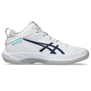 �A�V�b�N�X asics GELHOOP V17 STANDARD �o�X�P�b�g�{�[�� �V���[�Y �o�b�V�� 1063A096-104