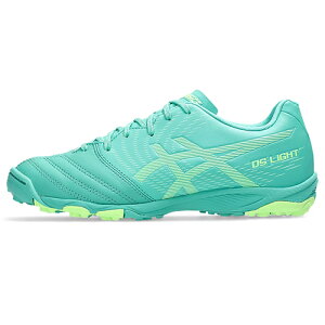�A�V�b�N�X asics DS LIGHT JR GS TF �T�b�J�[ �W���j�A �^�[�t/�g���[�j���O�V���[�Y 1104A053-301