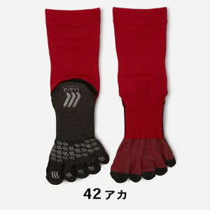 ^rI TABIO tbg{[ܖ{w\bNX TbJ[ 071140011(SS)/071140014(S)/072140014(M)/072141014(L)