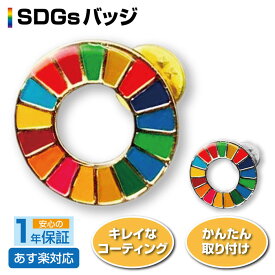 【★5/30 最大P10倍UP!】SDGs バッジ ピンバッジ 簡単 取り付け sdgsバッジ きれい Sustainable Development Goals 地域環境の保護