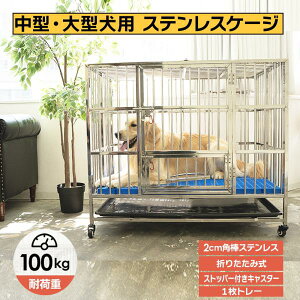 yP3{&500~OFFcpIz ^ pP[W XeX P[W t  Q[W ܂肽 LX^[ g[ }bg ybg 110×s72×92cm