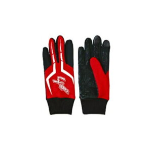 y[֔zzvۓc XbK[@tB[hO[u@܁@싅@\tg@h@v[g@LOi@SW-42