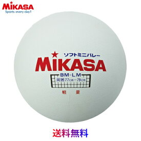 【メール便発送】MIKASA　ミカサ　ソフトミニバレーボール　大　体育　BM-LM
