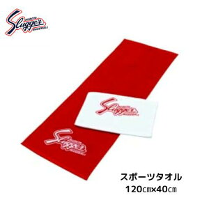 y[֔zvۓcXbK[@@X|[c^I@싅@ƋLOi@^I@S-40@hJł܂I