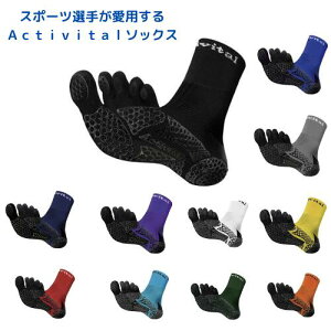 y@[ zANeBoC^@ACTIVITAL PRO 5 5{w@tbgT@TbJ[@}`X|[c@Obv̋@RۖhL@ALXF̕یET|[g@w̉P@F