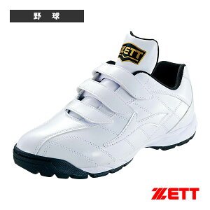 싅V[Y [bg g[jOV[Y tBGbg BSR8017G