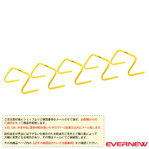 I[X|[cg[jOpi Goj[ [ʓr]tbNXn[h20 5g ETE058