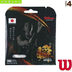 �o�h�~���g���X�g�����O�i�P���j �E�B���\�� SX63 �u THE SOLID SPEED WR850020