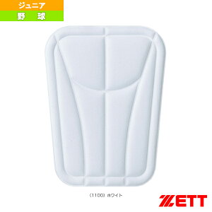 싅ANZTE [bg NpՌzpbh Gp PA110JK