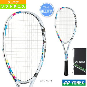 y\tgejXPbg lbNXz G[XQ[g66 ACEGATE 66 グσPbg WjA ACE66G