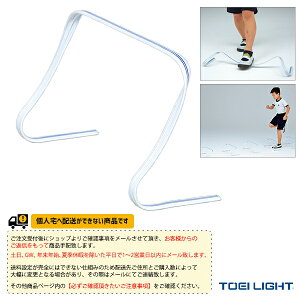 ݔEi TOEI(g[GC) [ʓr]tLVun[hFL25 51g G-1808