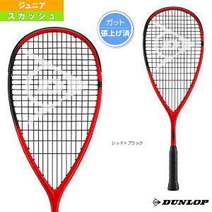 XJbVPbg _bv \jbNRA F[V^SONIC CORE REVELATION JNR^WjAiDSSQ00057j