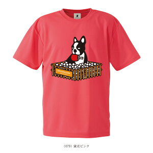 싅EFAiY/jj e[uejXWL[ s|{2^DryTEE^jZbNXiTTJ19005j