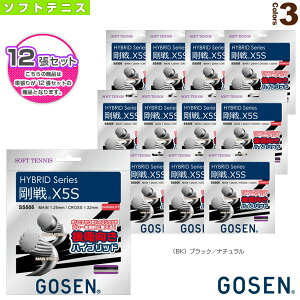 y\tgejXXgOiPj S[Zz w12PʁxnCubh  X5S HYBRID GOSEN X5S SS505