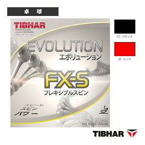 �싅���o�[ �e�B�o�[ �G�{�����[�V����FX-S EVOLUTION FX-S TJR113